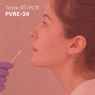PVRE-24 PAINEL RESPIRATÓRIO, PCR  (24 PATÓGENOS, incluindo Sars CoV2  e H3N2) RT- PCR 