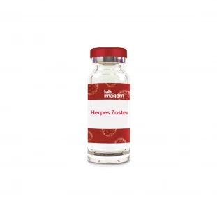 Vacina contra Herpes Zoster