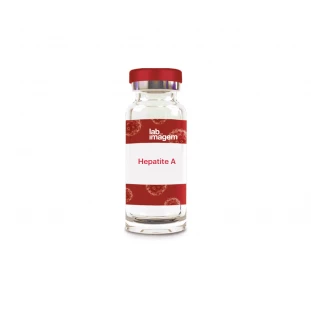 Vacina Hepatite A adulto